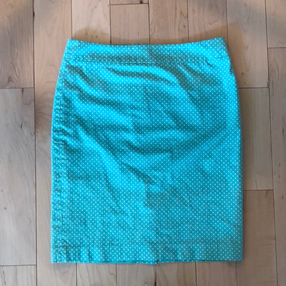 Ann Taylor Pencil Skirt size 10